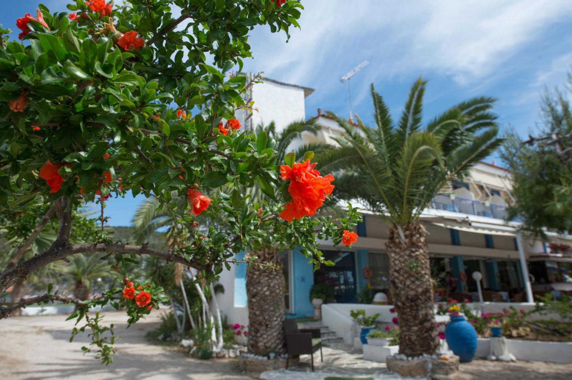 Hotel Avra Nea Epidavros Exteriér fotografie