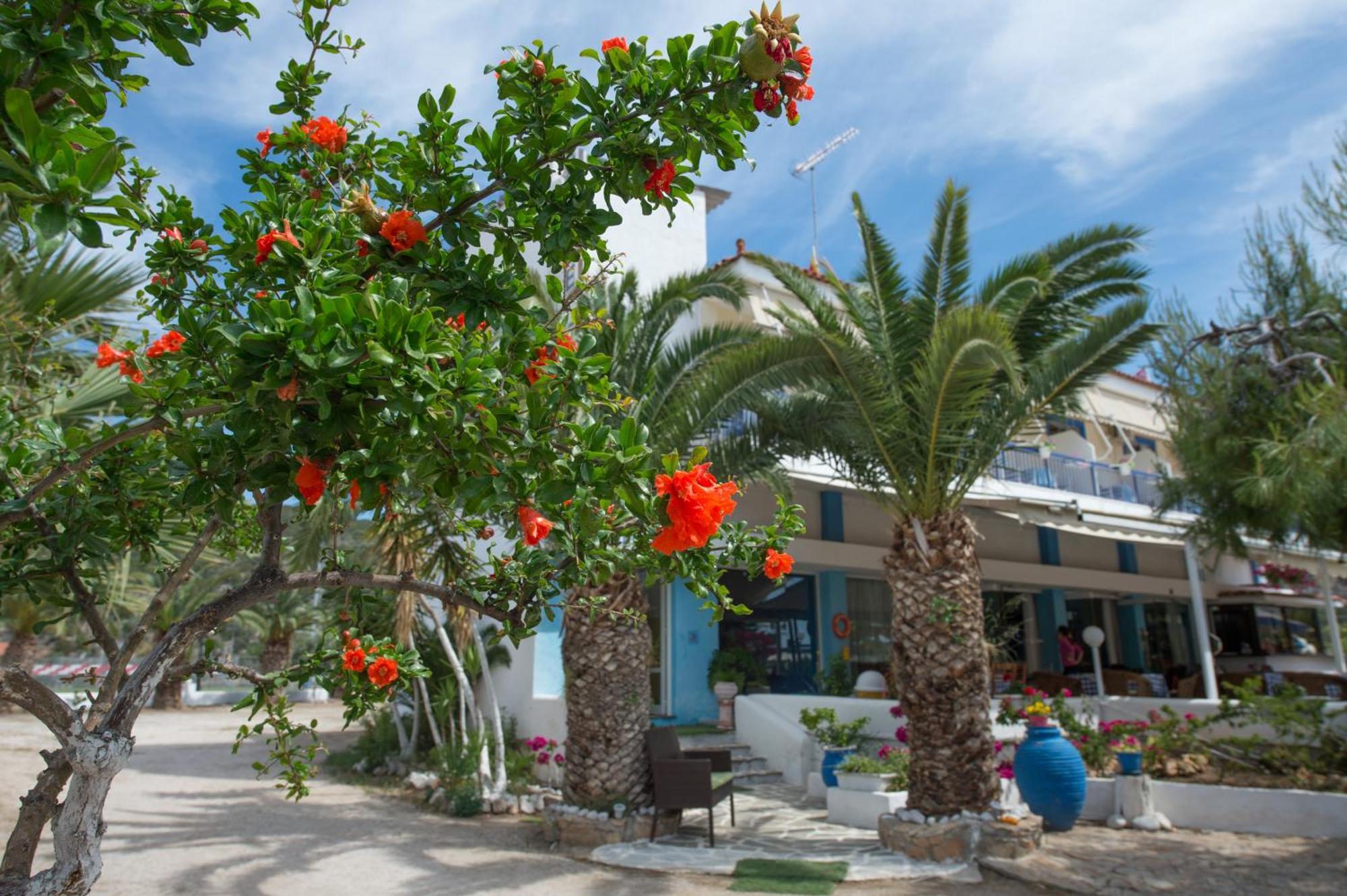 Hotel Avra Nea Epidavros Exteriér fotografie