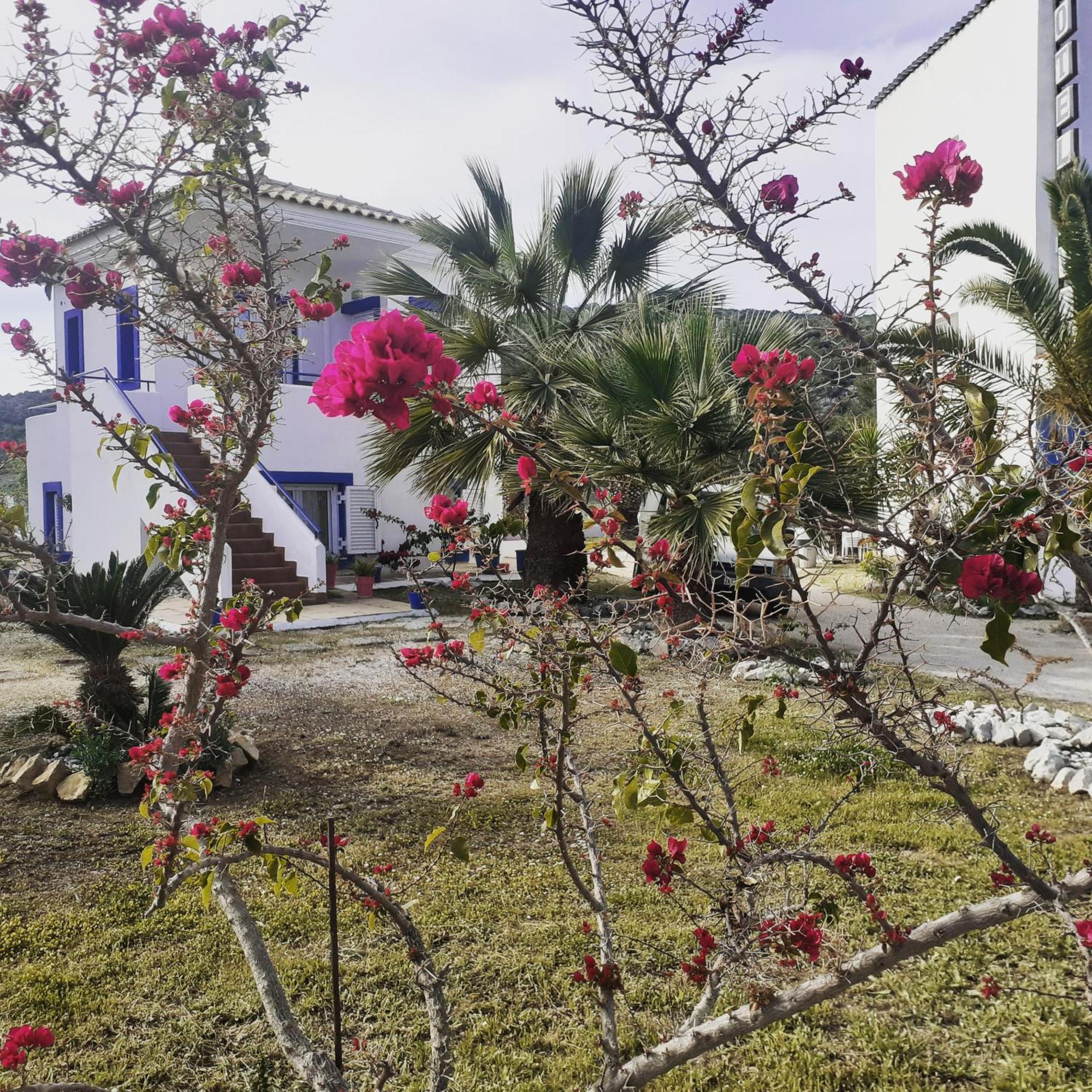 Hotel Avra Nea Epidavros Exteriér fotografie