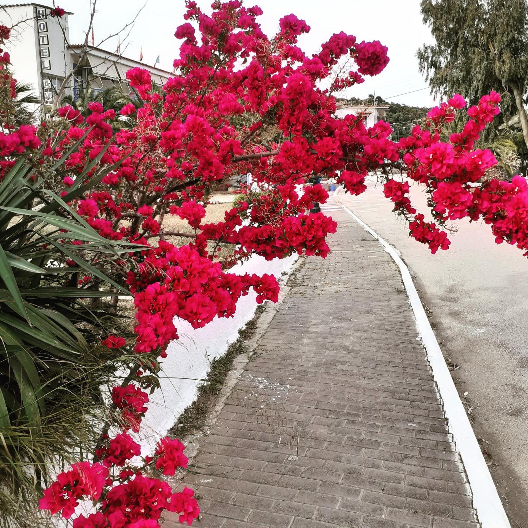 Hotel Avra Nea Epidavros Exteriér fotografie
